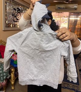 Dino Hoodie With 3D Spikes And Soft Cotton Lining