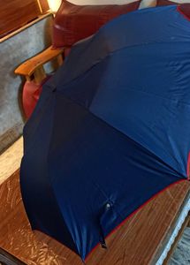 Foldable Umbrella