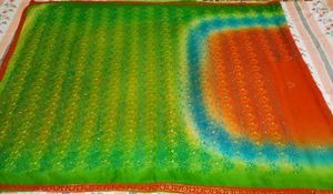 Orange &amp; Green Saree