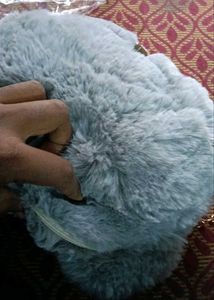 Cute Plush bear 🐻 bag