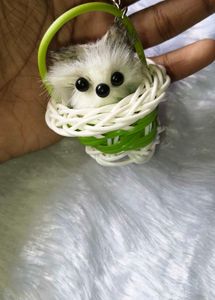 Cute Puppy in Basket Keychain