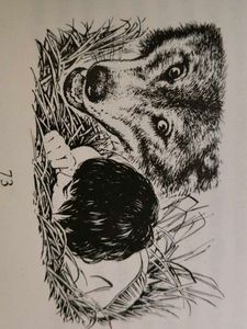 The Jungle Book