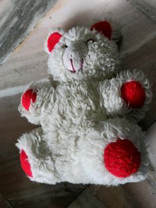 Teddy