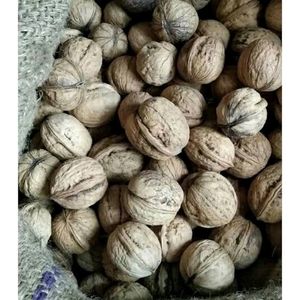 Walnuts For Sooriya