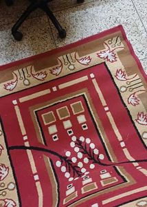 PRICE DROP🔥 HURRY‼Floor Carpet