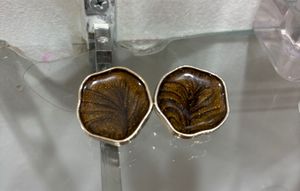 Brownish Earrings
