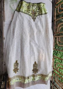 Heavy Worked Double Coloured Lehenga Choli (Women)