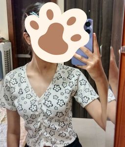 Zara Crop top