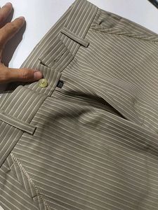 Trouser Pant