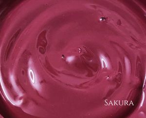 Cherie Beauty Lip gloss 🍒