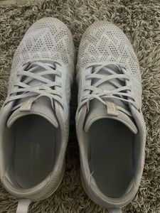 Original sketchers
