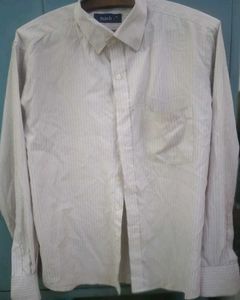 Striped Formal shirt
