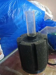 Aquarium Filter &amp; Air Pump
