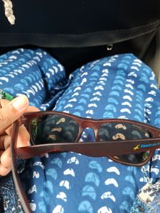 Beautiful Brown Sunglasses