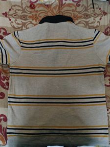 Striped Polo Shirt