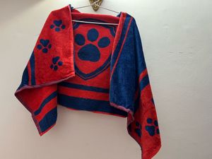 Paw Patrol Kids Hooded Towel