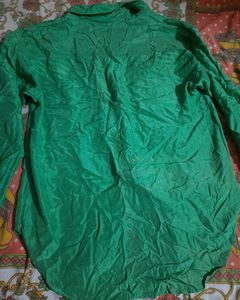 Vintage Green Button-Down