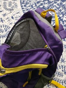 Skybags Backpack