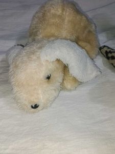 6 Toy 🧸 Cuddle Companions: Soft Toys for Every He