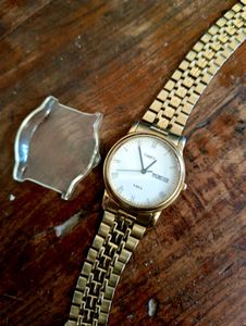 Timax Vista Watch