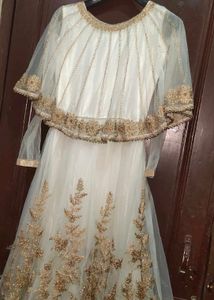 Elegant Ethnic Gown