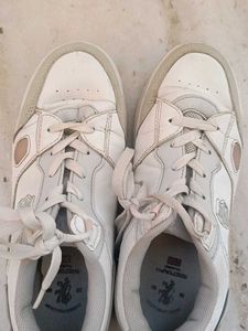 RedTape White Sneakers