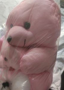 Teddy Bear And Shoes
