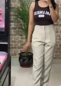 Zara Dupe Trousers.....