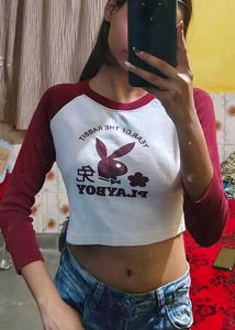 Rabbit Year Crop Top