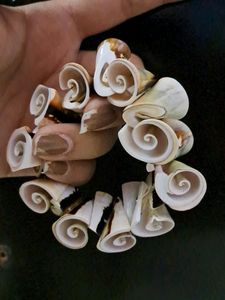 Set Of Three Original Shell Bracelet
