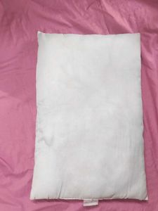 2 Pillow (Cushion?