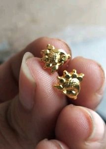 Peacock earrings one garam