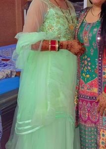 Elegant Mint Green Tulle Dress With Duppatta