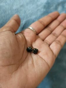 Combo Of 8 Earrings