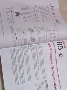 All In One Science CBSE Class 10
