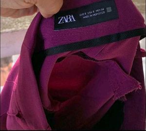 Purple Pant