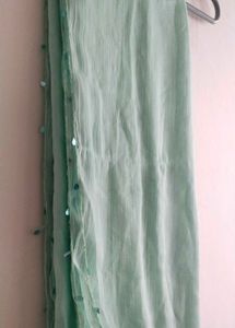 Seafoam Green Dupatta with Sequins
