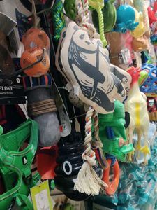 Dog Toys Galore!