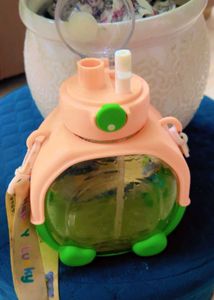 Cute Turtle Water Bottle