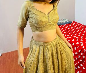 Sabyasachi Blouse And Choli For Today Only