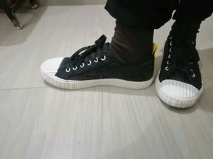 Mast and harbour Sneakers