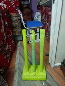 Cricket Wickets Set