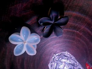 Flower Hair Clips