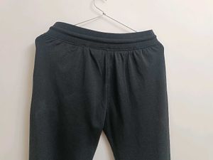Daily Wear Casual Lower