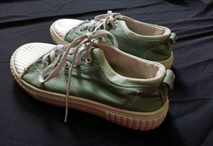 Olive Green Canvas
