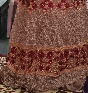 Elegant Embellished Ethnic Gown