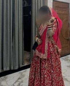 Pink Engagement Lehenga