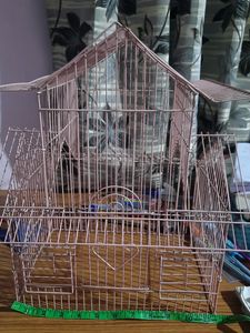 Bird Cage