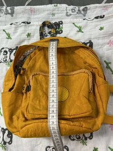 Thrifted KIPLING Bag