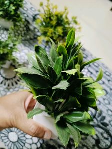 8 Artificial Set of Plants